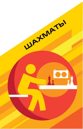Шахматы Шахматы